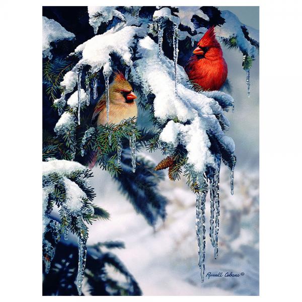 Natures Jewels 1000 Piece Puzzle