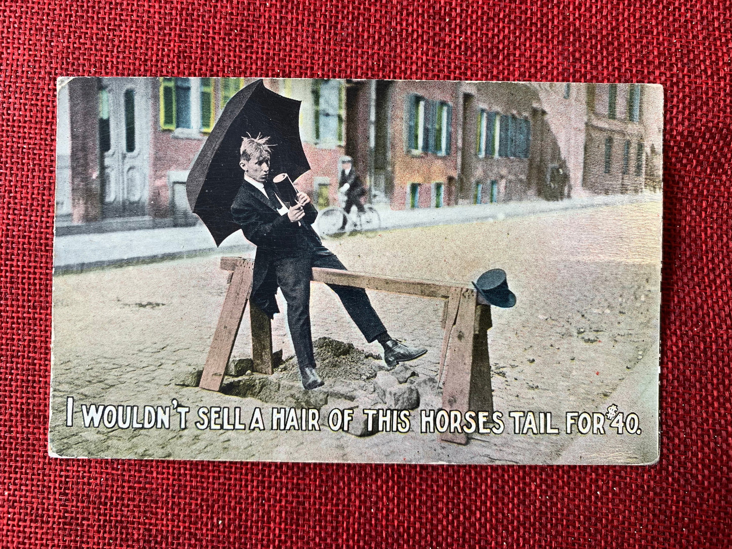 I Wouldn't Sell A Hair of This Horses Tail For 40 Dollars Vintage Postcard 1913
