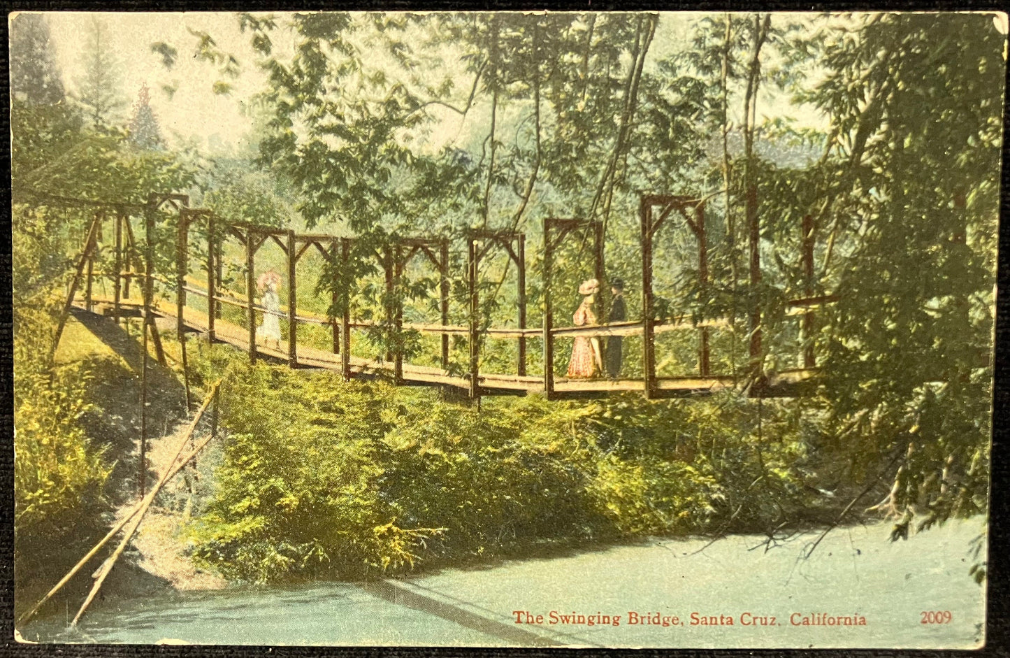 The Swinging Bridge, Santa Cruz, California - Vintage Postcard