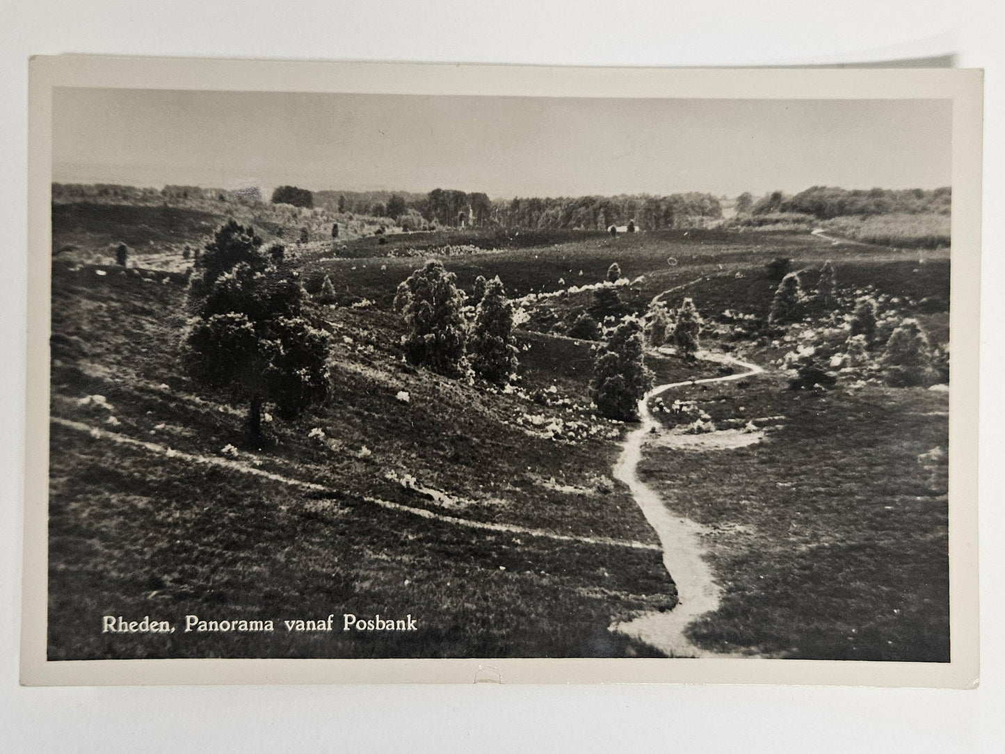 RPPC 1957 Dutch Countryside Rheden Panorama Vanaf Posbank - Scenic Over View in Netherlands Countryside - Pastoral Photo -4 stamps