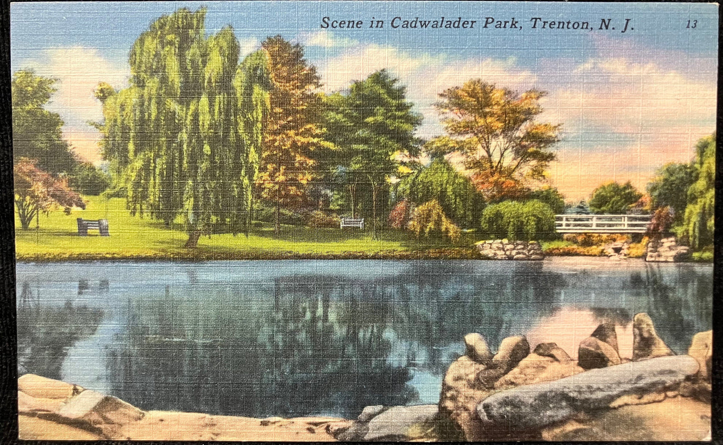 Scene in Cadwalader Park, Trenton, N. J. - Vintage Park Postcard