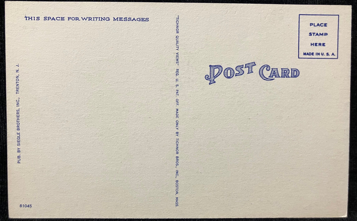Scene in Cadwalader Park, Trenton, N. J. - Vintage Park Postcard
