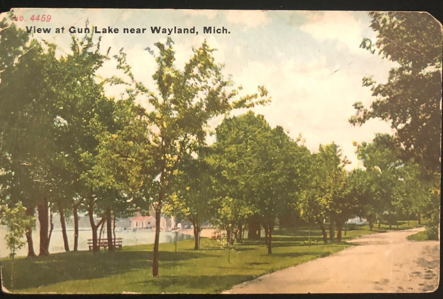 View At Gun Lake near Wayland, Mich. Vintage Postcard
