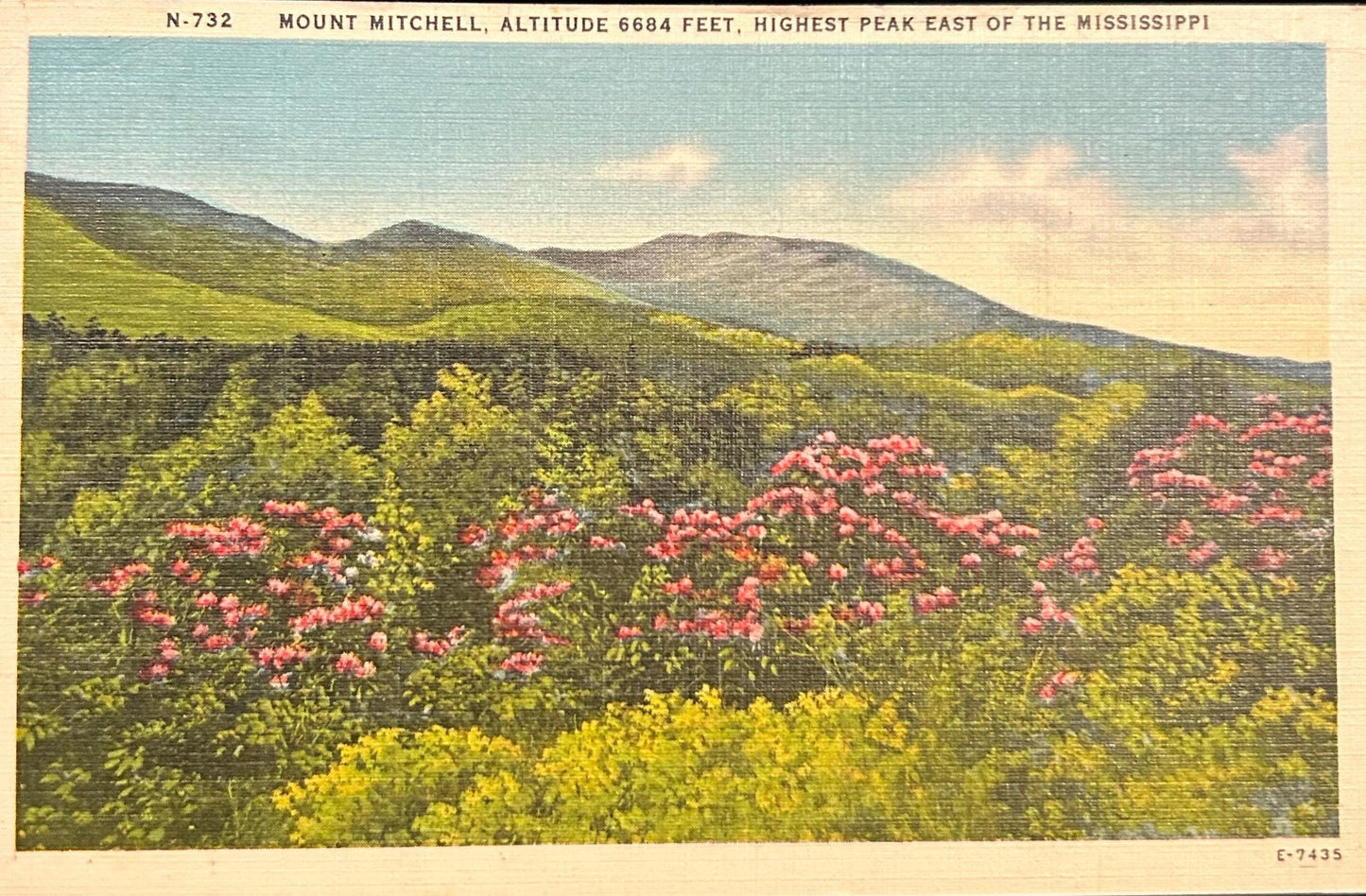 Mount Mitchell, Altitude 6684 Feet, Highest Peak East of the Mississippi- Linen Postcard