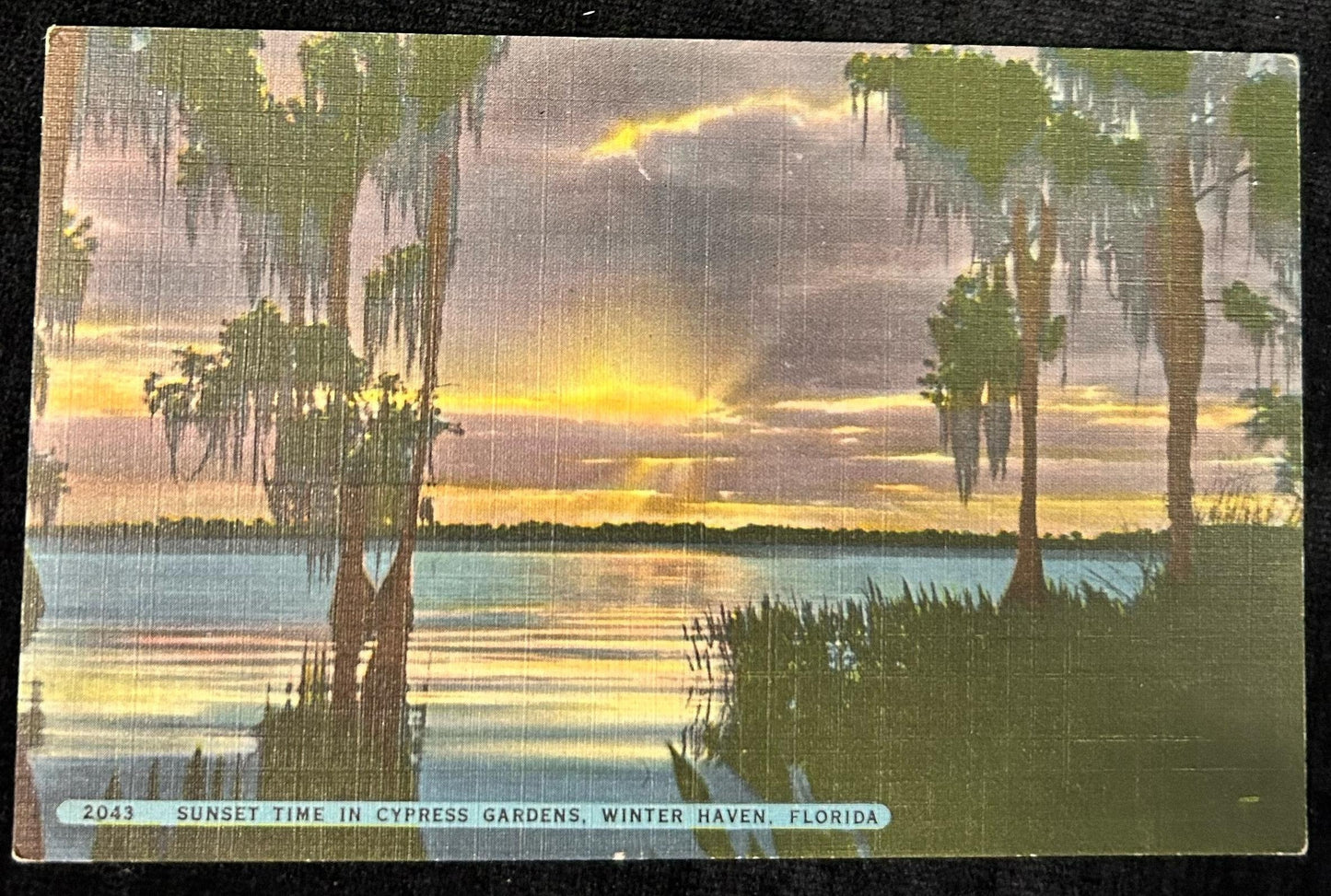 Sunset Time in Cypress Gardens, Winter Haven, Florida- Linen Postcard