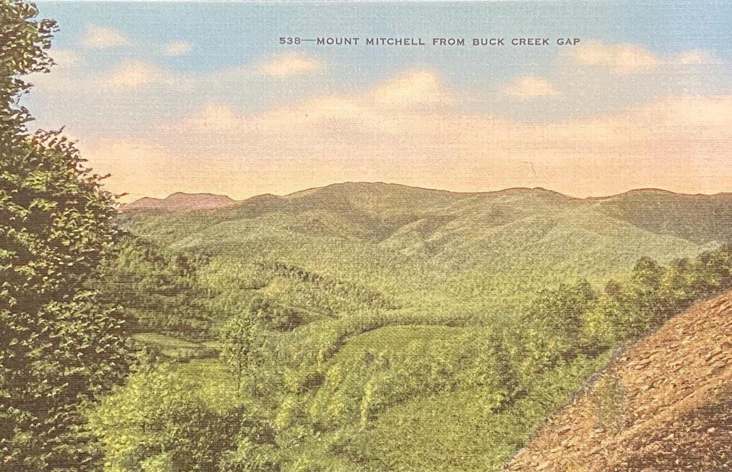 Mount Mitchell - Buck Creek Gap - 1940s Postcard