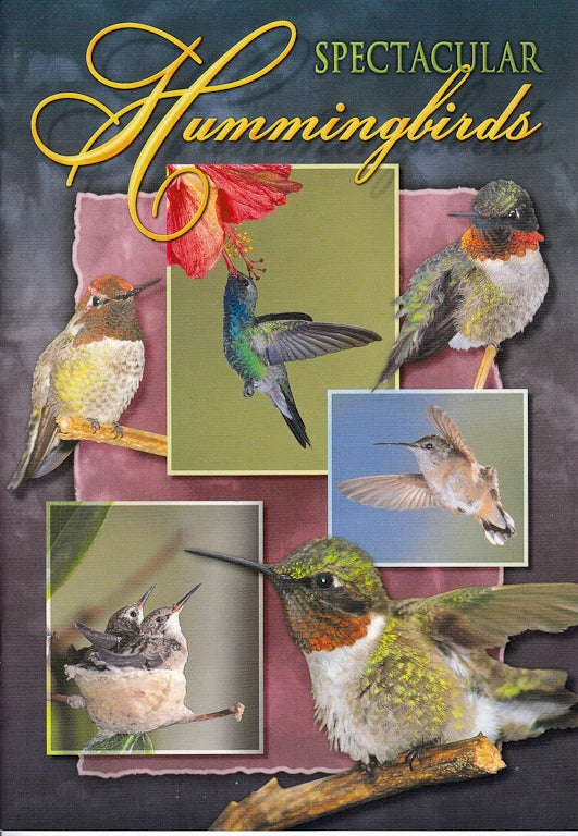 Spectacular Hummingbirds Guide Book