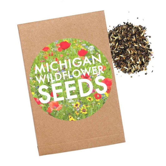 Michigan Native Wildflower Seed Pack