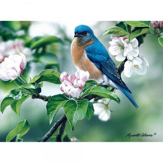 Bluebird on Apple Blossoms 1000 Piece Puzzle by Gift Essentials