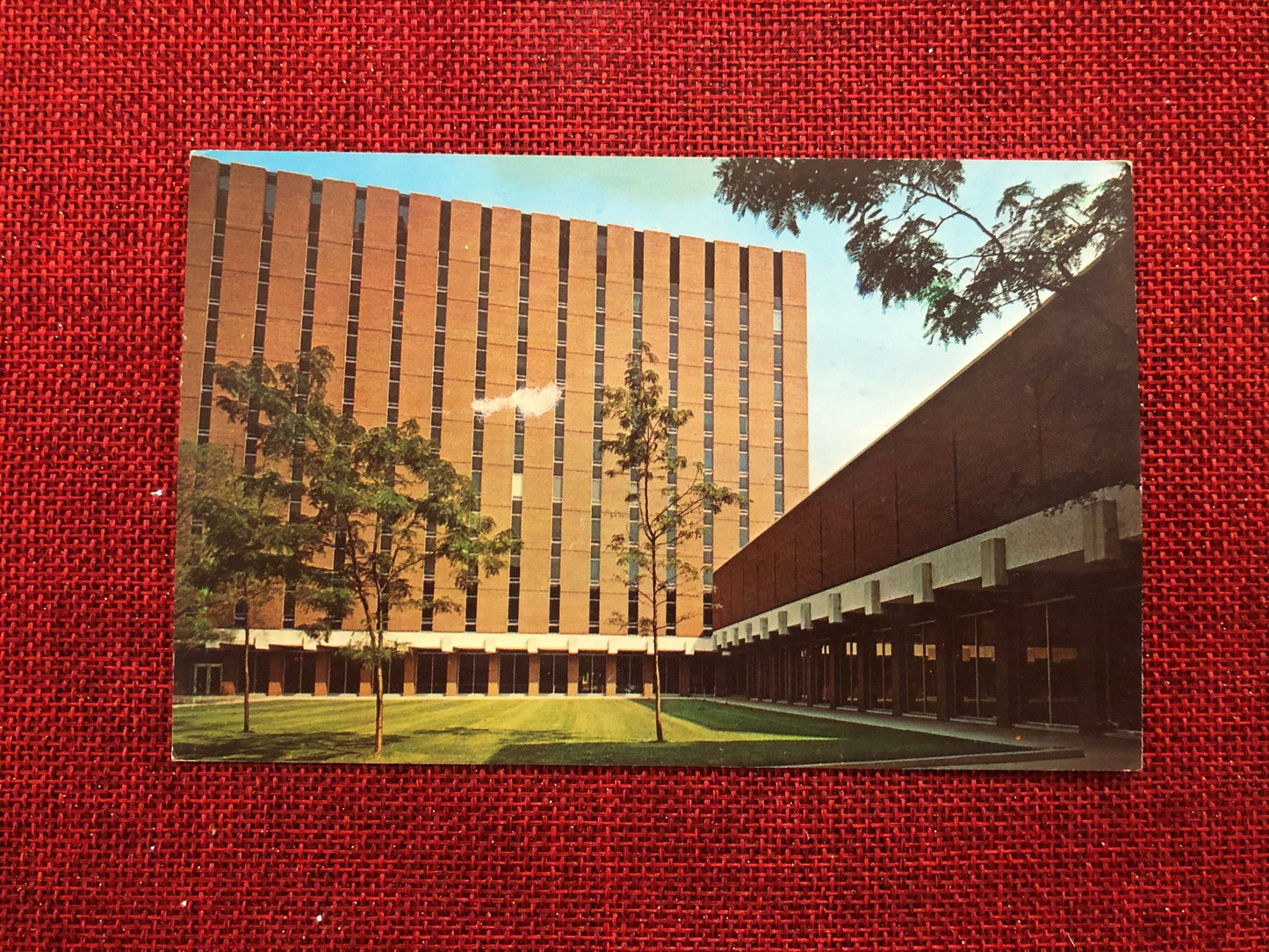 University of Michigan Physics and Astronomy Building Vintage Postcard