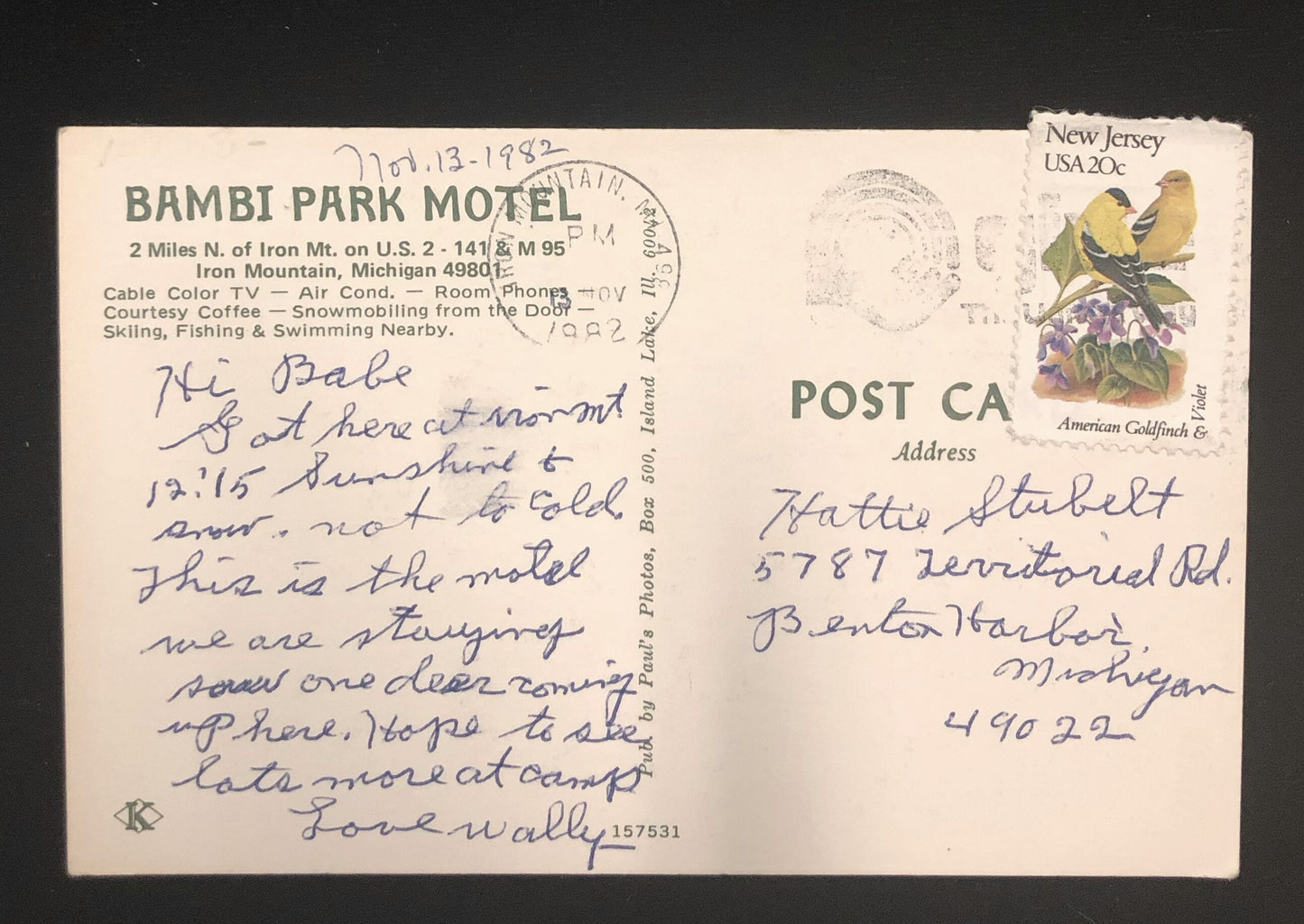 Bambi Park Motel Iron Mountain, Michigan 1980's Vintage Postcard