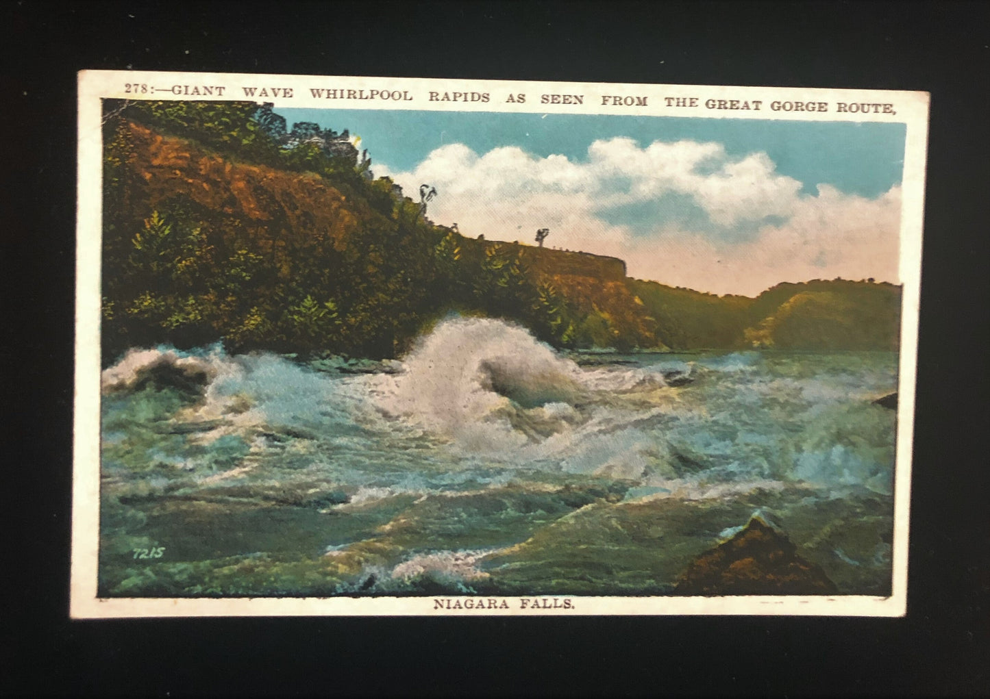 Niagara Falls Great Gorge Route Vintage Postcard