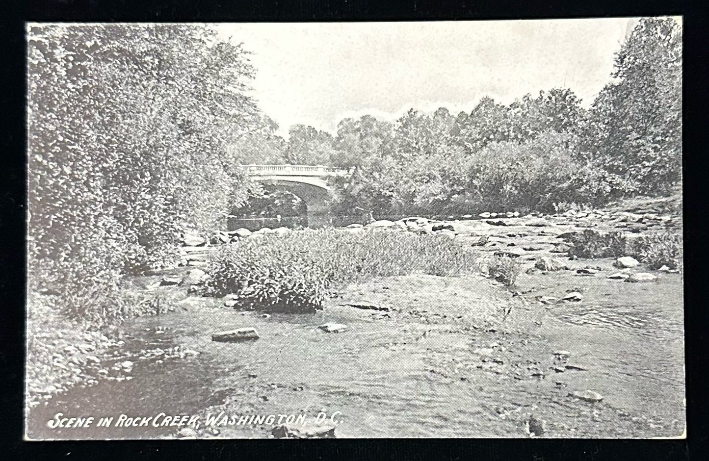 Scene in Rock Creek, Washington , D.C. - Vintage Postcard