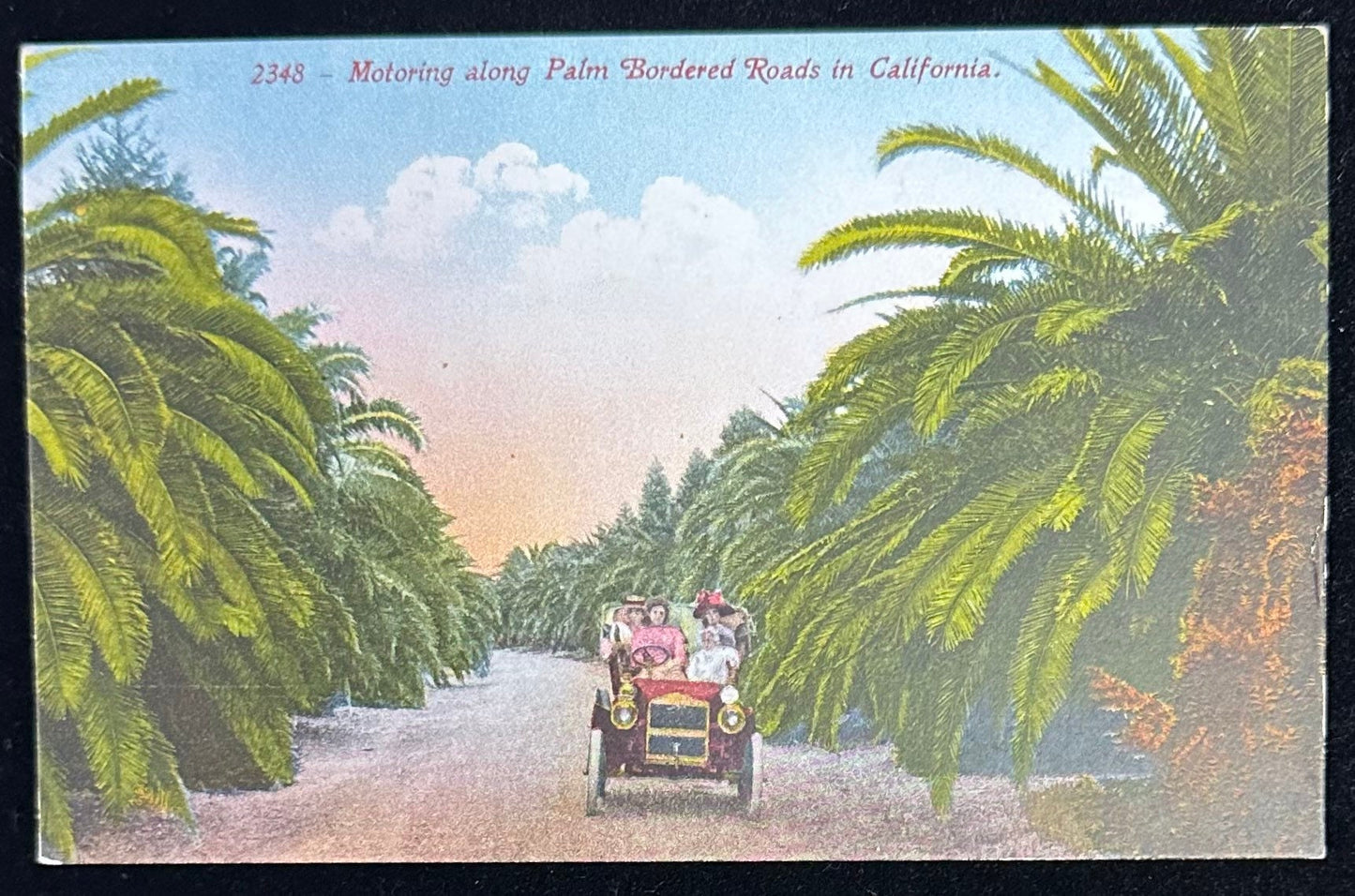 2348- Motoring along Palm Boarded Roads in California - Vintage Edward H. Mitchell Postcard