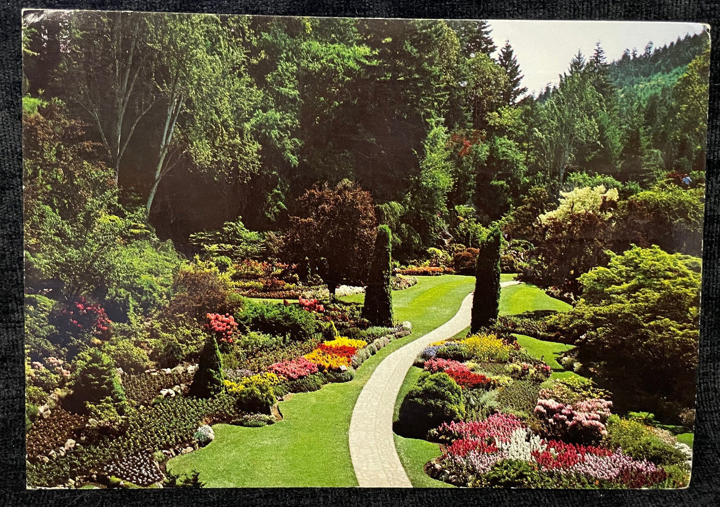 The Sunken Garden - The Butchart Gardens, Victoria in British Colombia, Canada - Clifford A. Fenner Photo