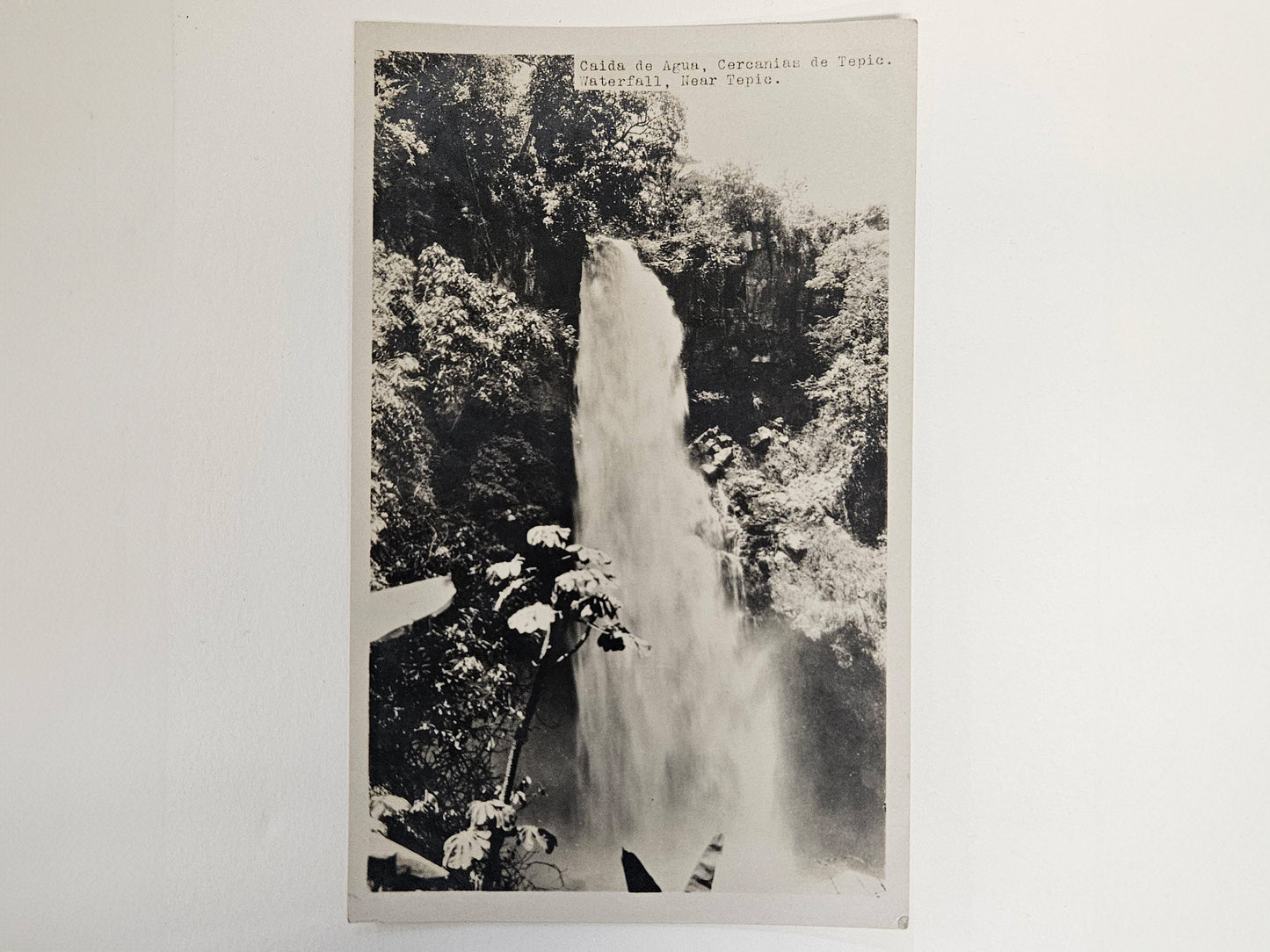 RPPC -January, 1925 -Tepic Mexico Caida De Agua Waterfall Rainforest - Real Photo Postcard - Black&white Photo of Tepic Mexico Rainforest.