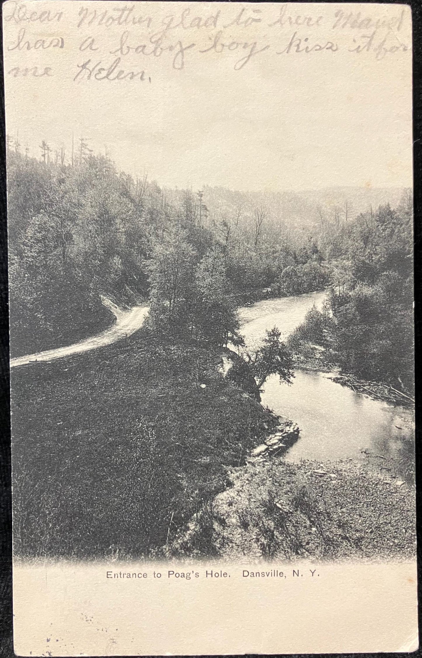 Entrance to Poag's Hole, Dansville, N. Y. - 1903 address only backside Postcard