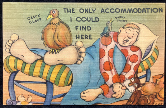 Andy - Cartoon Postcard - 1940s-50s - "The Only Accommodation I could Find Here" - Vintage JokePostcard about Shortage of Hotel Rooms