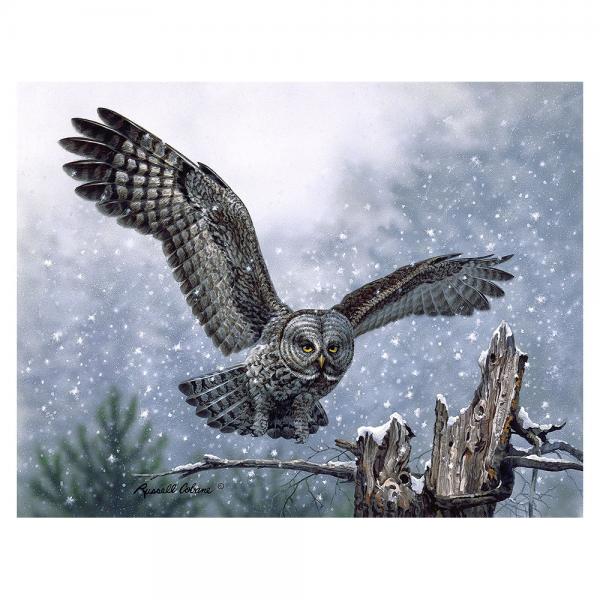 Snowy Landing 1000 Piece Puzzle