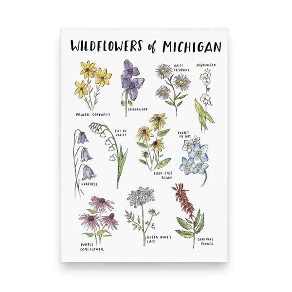 Wildflowers of Michigan Magnet